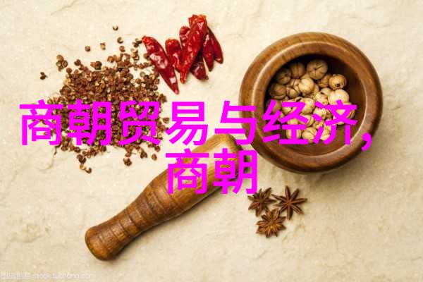 绝代风华明朝那些事的传奇篇章