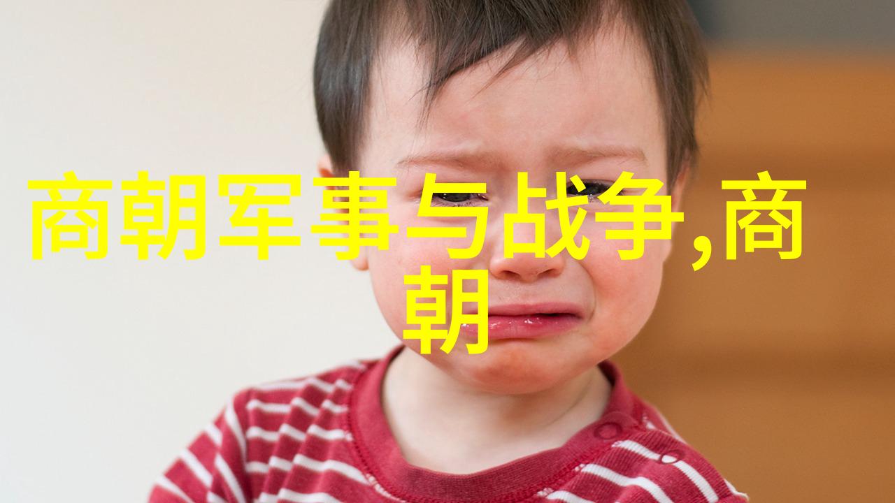 明朝的耻辱土木堡-土木堡之变明朝版图最深一刻的损失