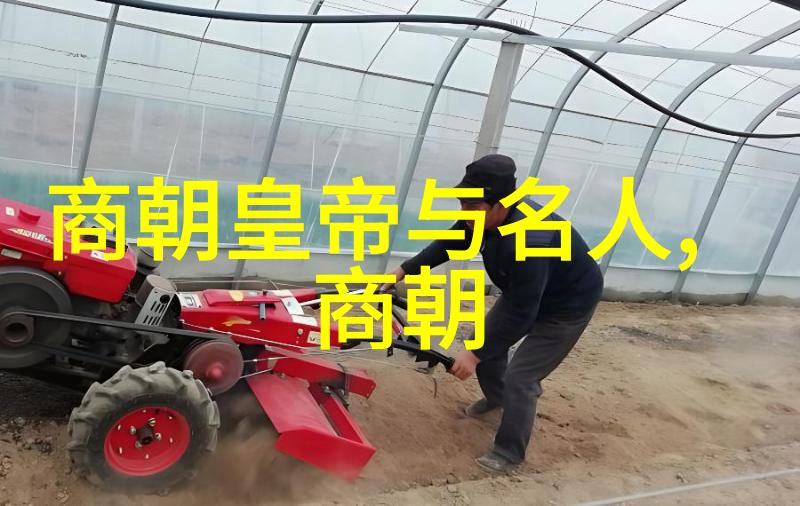 紫禁城里的悲剧故事 康熙与他的继子