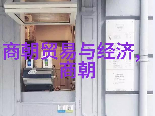 北宋灭亡历史北宋的衰落与最终覆灭
