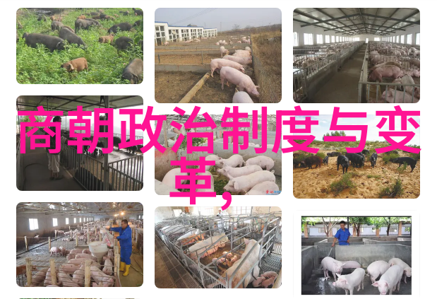 明宣宗朱瞻基为何寿命这么短老子怎么就活不长点啊探秘明宣宗的短暂一生