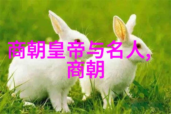明朝帝王英杰传明朝十六任帝王的光辉篇章