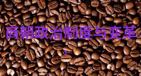南朝历史上的重大转折点南朝的重要历史事件