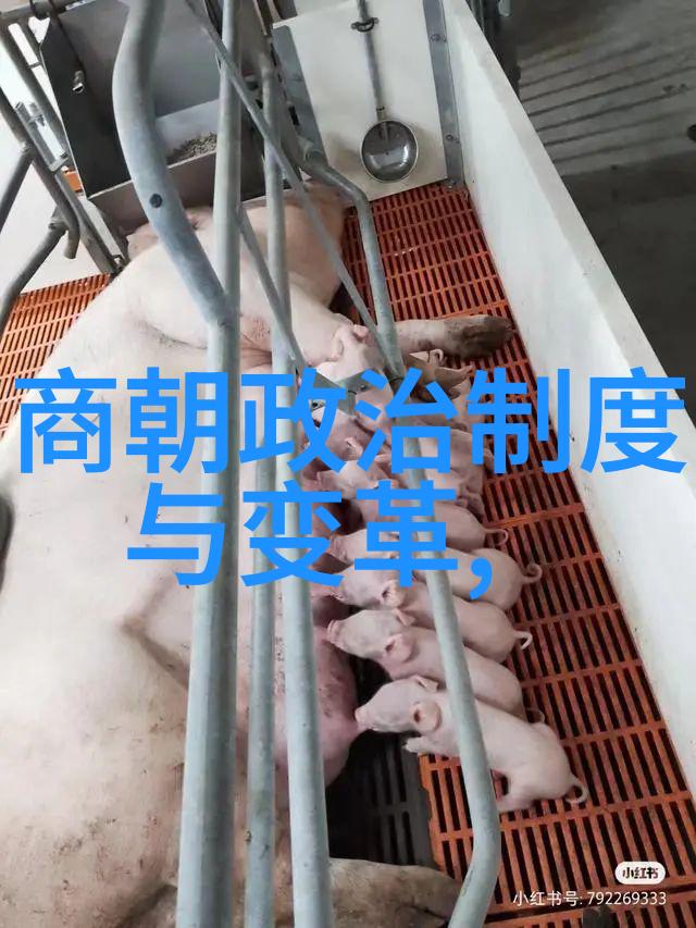 天下第一从帝王到宠物中国古代排名大冒险