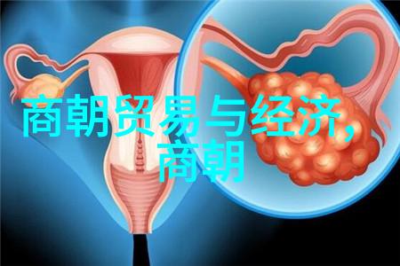 明朝那些事读书心得数据驱动探究锦心似玉之说