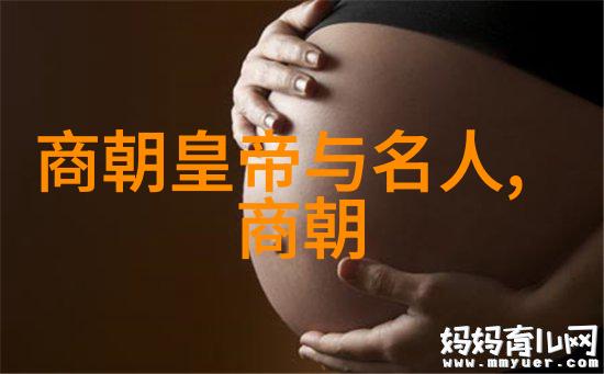 明朝帝王辈出历代君主的光芒与沉淀