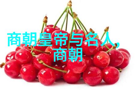 南明朝帝王序列光辉与阴霾的交织