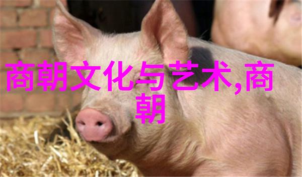 国家一级演员张燕主演的抬花轿豫剧电影完整版免费观看