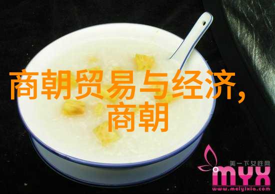 中国历史认知与元朝的归属探究一段被遗忘的辉煌篇章