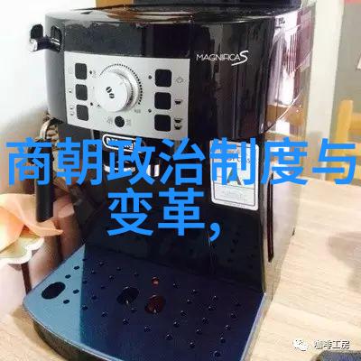 明朝历史演绎新篇章探秘这本书的出版年份