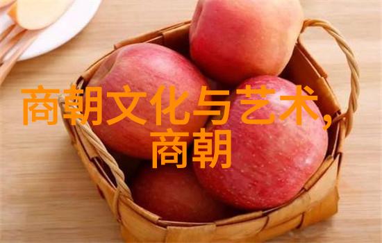 元朝的建立与统一中国