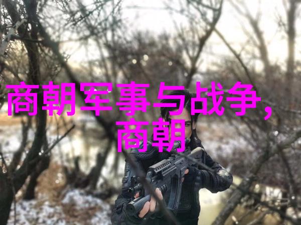 野史记-尘封的真相揭开历史暗影的秘密