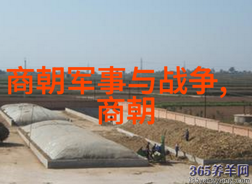 明末清初这一时期发生了怎样的政治变迁和社会动荡