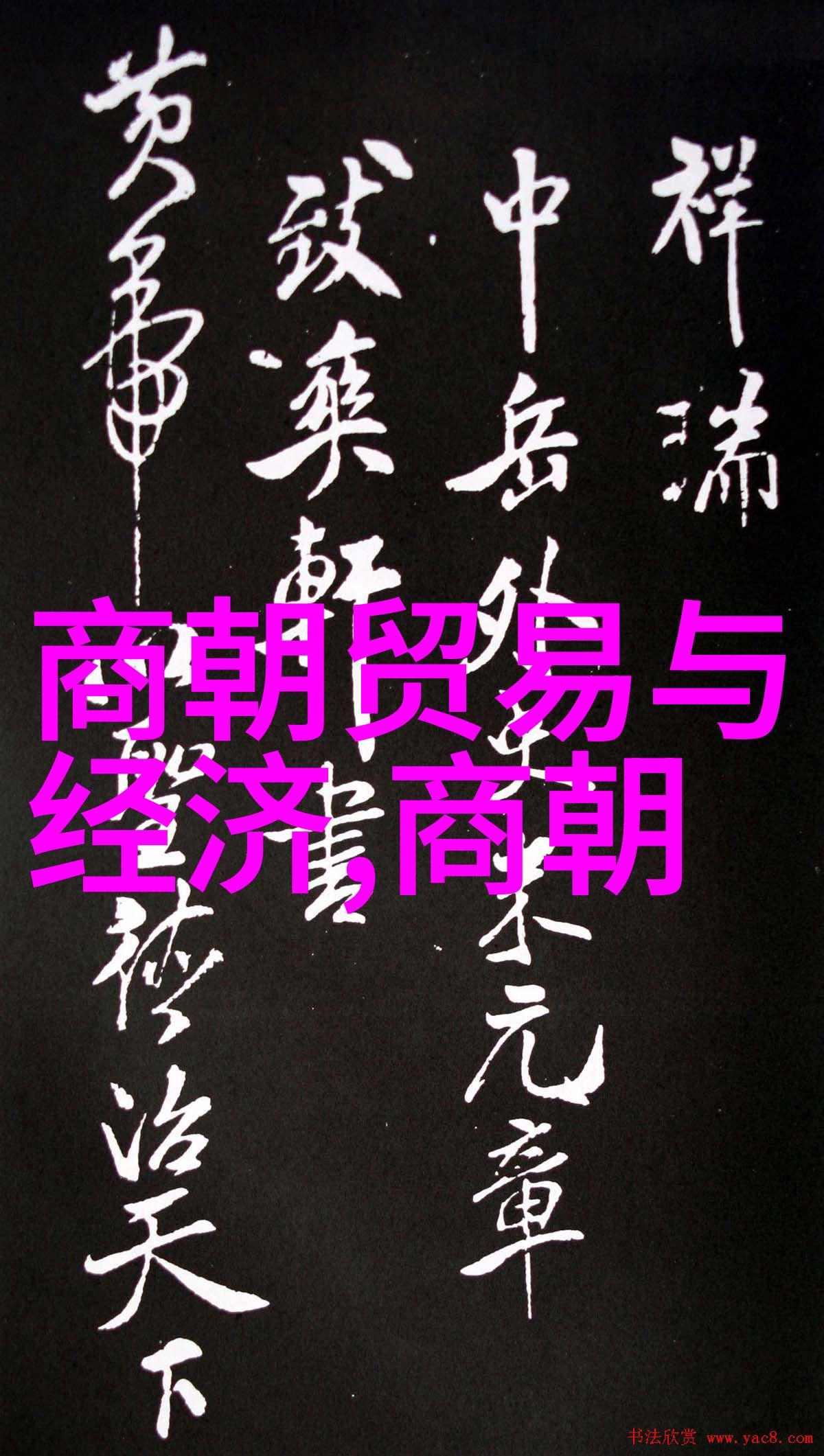 元朝覆灭之谜历史上的军事政治和经济原因分析