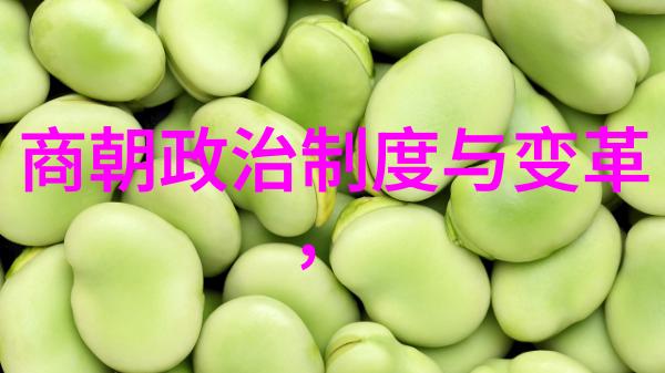 远古文明的序幕探索比夏朝早的三个朝代