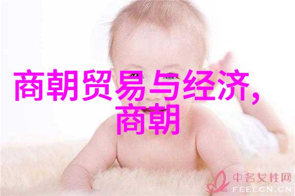 5000年历史顺序我来讲一讲人类文明的壮阔历程吧