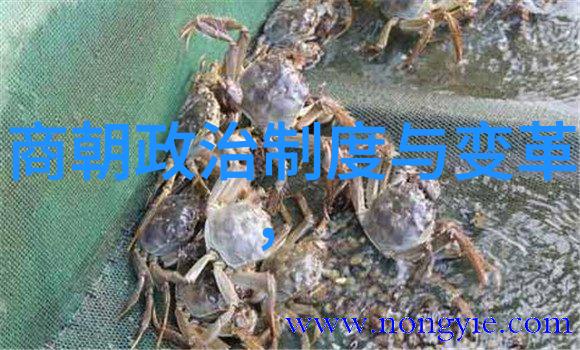 明朝那些事儿王更新免费听我是如何在网上找到一本通往明朝的秘密宝藏书的