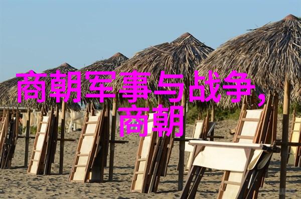 明朝风华尽头倾覆的龙椅与梦碎的红墙