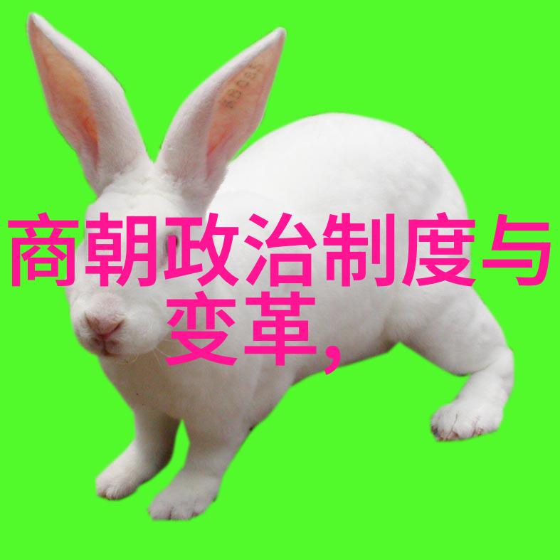 明朝最短在位帝王朱祁镇的悲剧君临