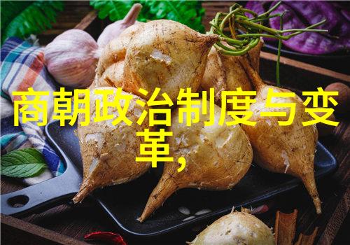 60秒回顾揭秘满洲人的征服与汉化策略