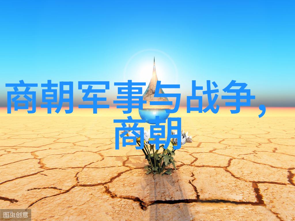 赵鑫洲金朝中的璀璨星辰