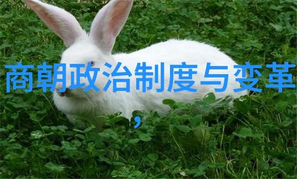 历史的沉默元朝遗忘的故事