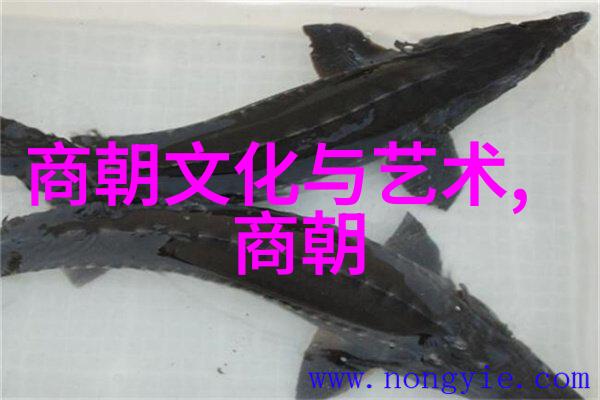 历史趣事老子当年也没想到古人竟然这样玩耍