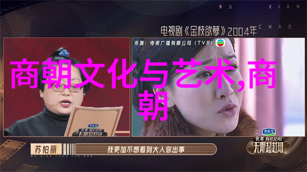 后宫里的独立人格灰姑娘探讨个性在家庭中的位置
