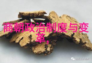 校园篮球之光遭遇阴影绳索与汗水的交织故事