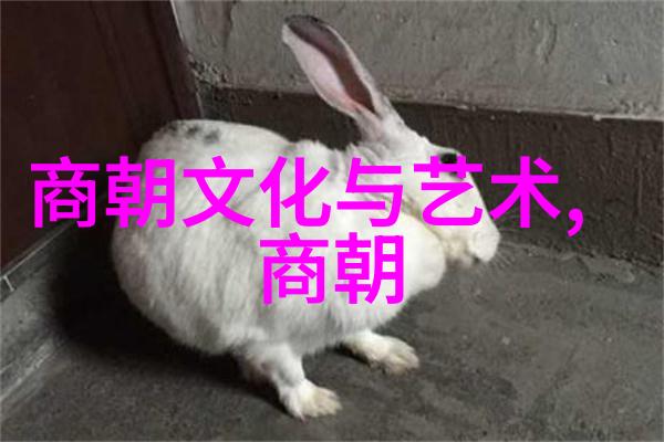 江山易改本性难移明朝那些事儿中石悦的逆袭与沉浮