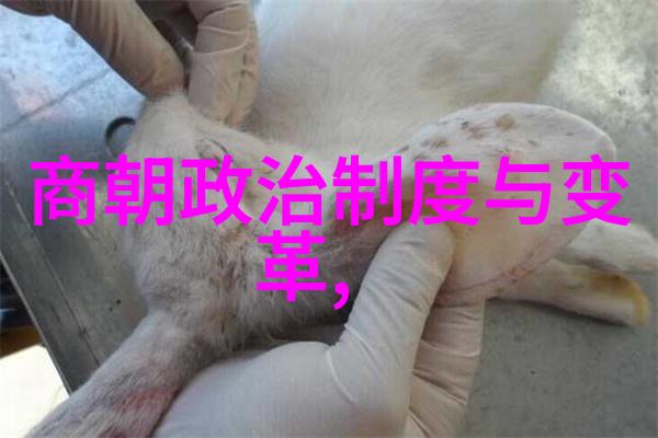 豫剧之花杨兰春导演工作者河南豫剧打金枝的灵魂