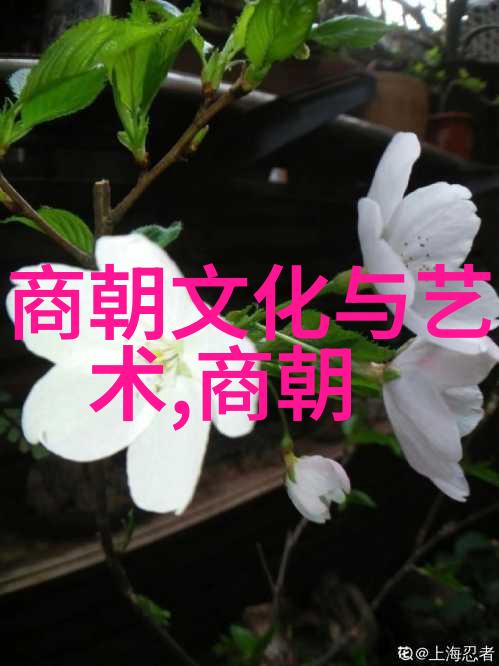 元朝是中国的辉煌篇章但它是否也埋藏着对民族未来的深远影响
