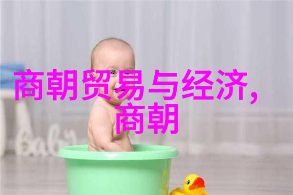 宋朝一统天下与文治盛世的王朝探究