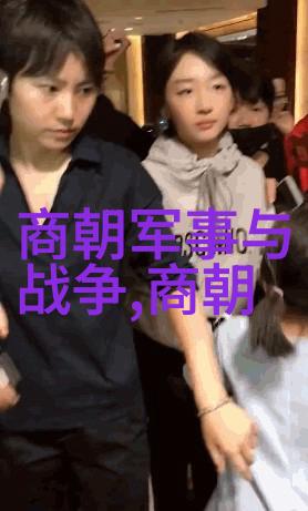 明辉煌一统天下到倭寇侵扰的明朝历史解说