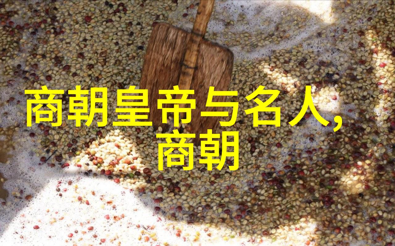 东方辉煌明朝的奇迹与传奇