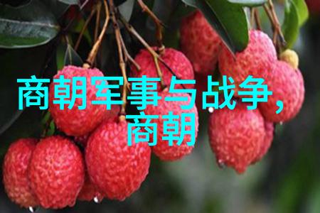 中国古代经典奇案我亲眼见证的屠户女儿与隐世侠客
