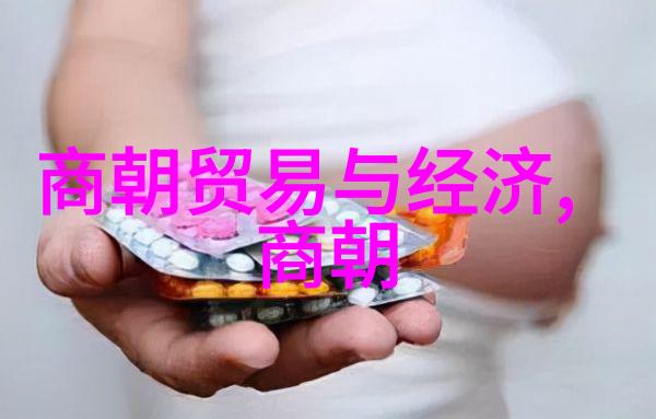 明朝那些事儿秦良玉的背后故事