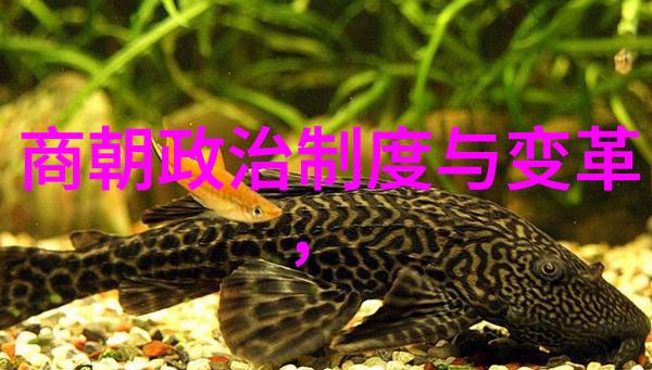 朱元璋的权力游戏他是如何巩固元朝统治的