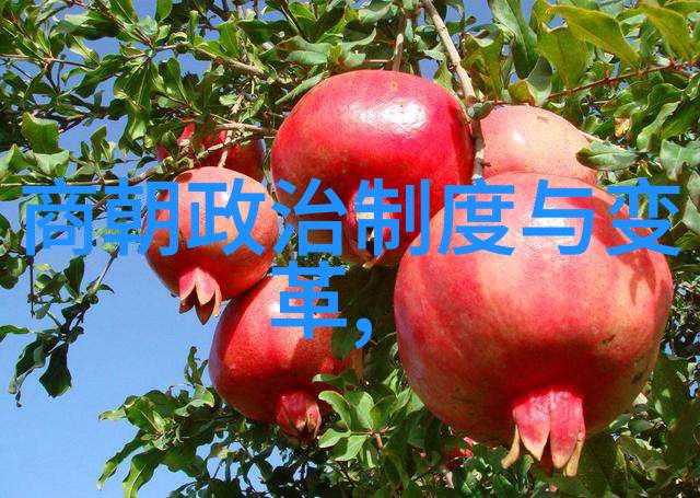 中国古代辉煌帝王征途的时空篇章