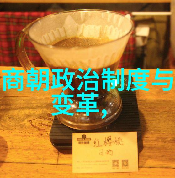 史海沉浮辽金之谜