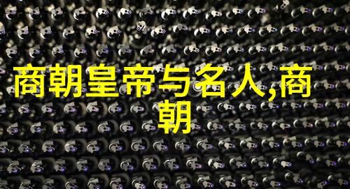 明朝中期的政治与经济