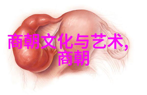 清朝的历代帝王龙椅上的君主与历史的足迹