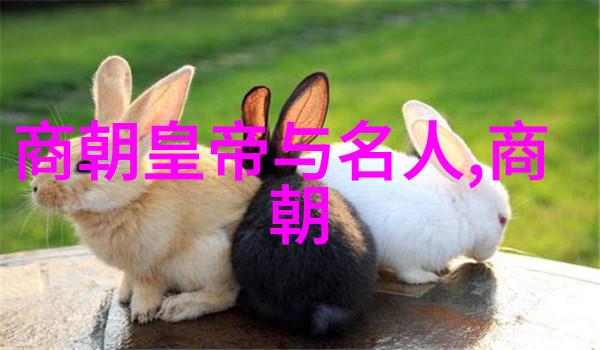 北魏灵太后阎存文沉默中的权力者
