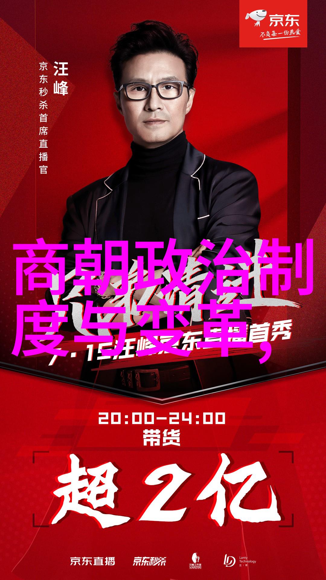 在宫廷斗争中丫鬟们又扮演了哪些关键作用