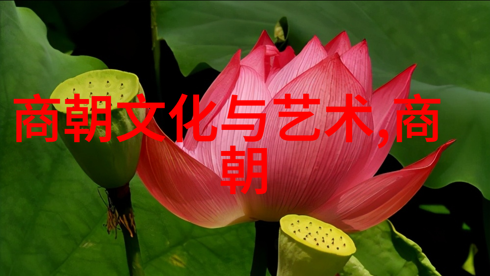 明朝盛世繁华的黄金时代