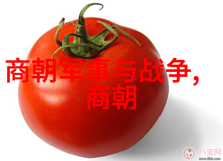 中国历史故事-穿越时空的传奇揭秘中国历史上最神奇的故事