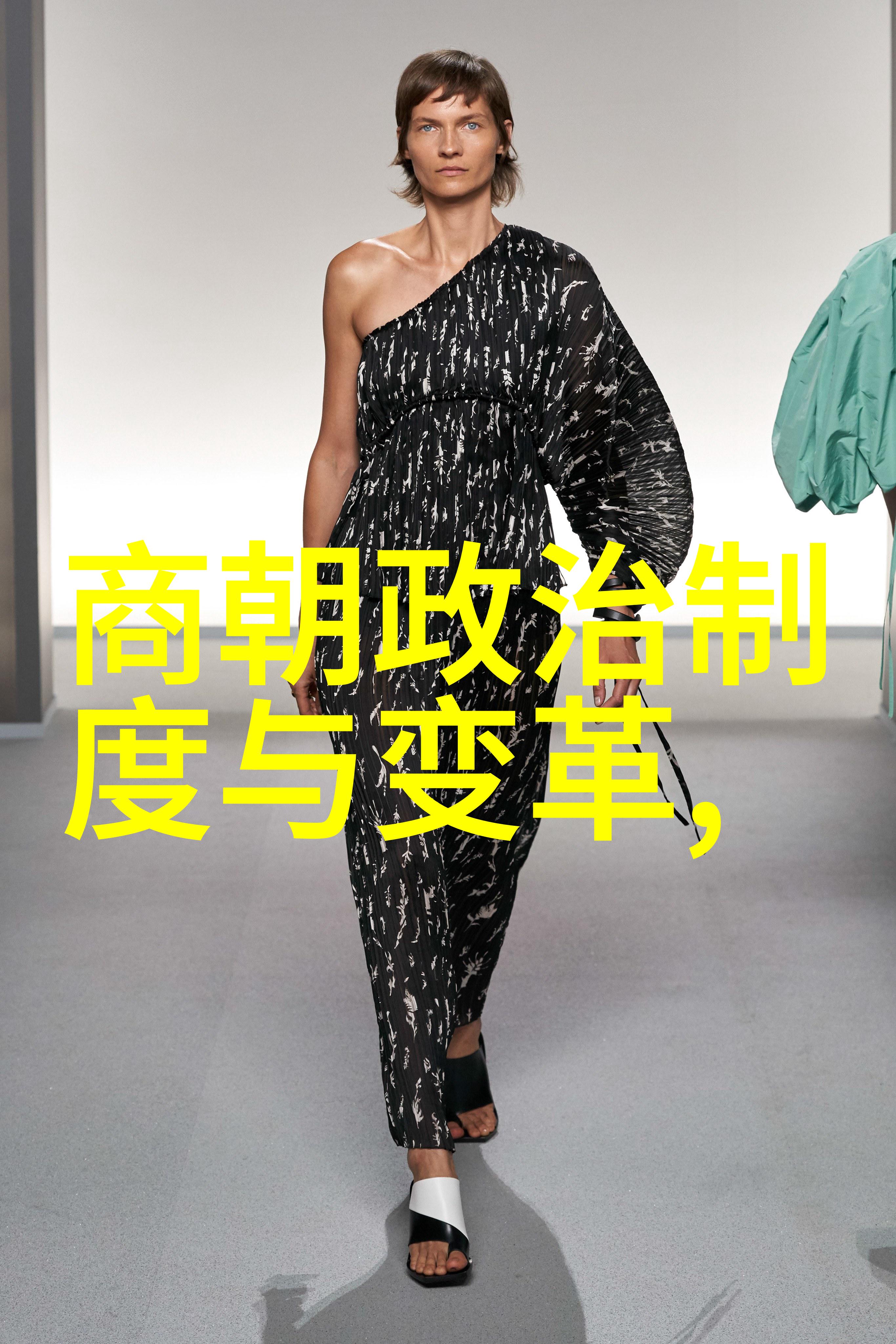 河南历史名人中又有谁能与金炜相提并论