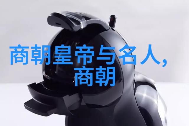 刘伯温明代数学家与政治家的双重魅力