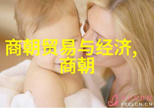 明朝的四大名将军事上的传奇人物