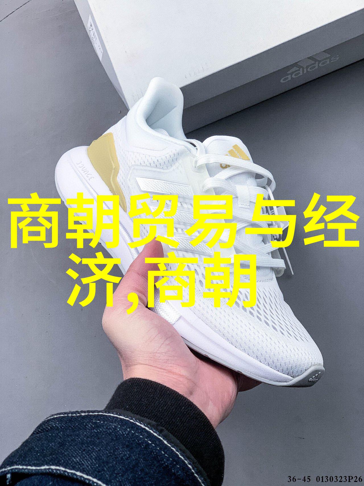 明末抗清十大名将历史的巨轮与英雄的足迹